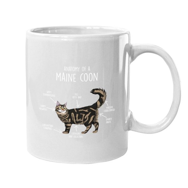 Anatomy Of A Maine Coon Cat Coffee Mug