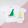 Big Sister And Big Brother T-Shirt Brothersaurus Matching