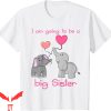 Big Sister Announcement T-Shirt