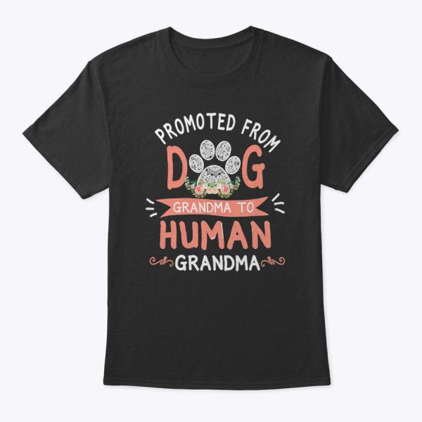 Promoted From Dog Grandma To Human Grandma Mother’s Day T-Shirt