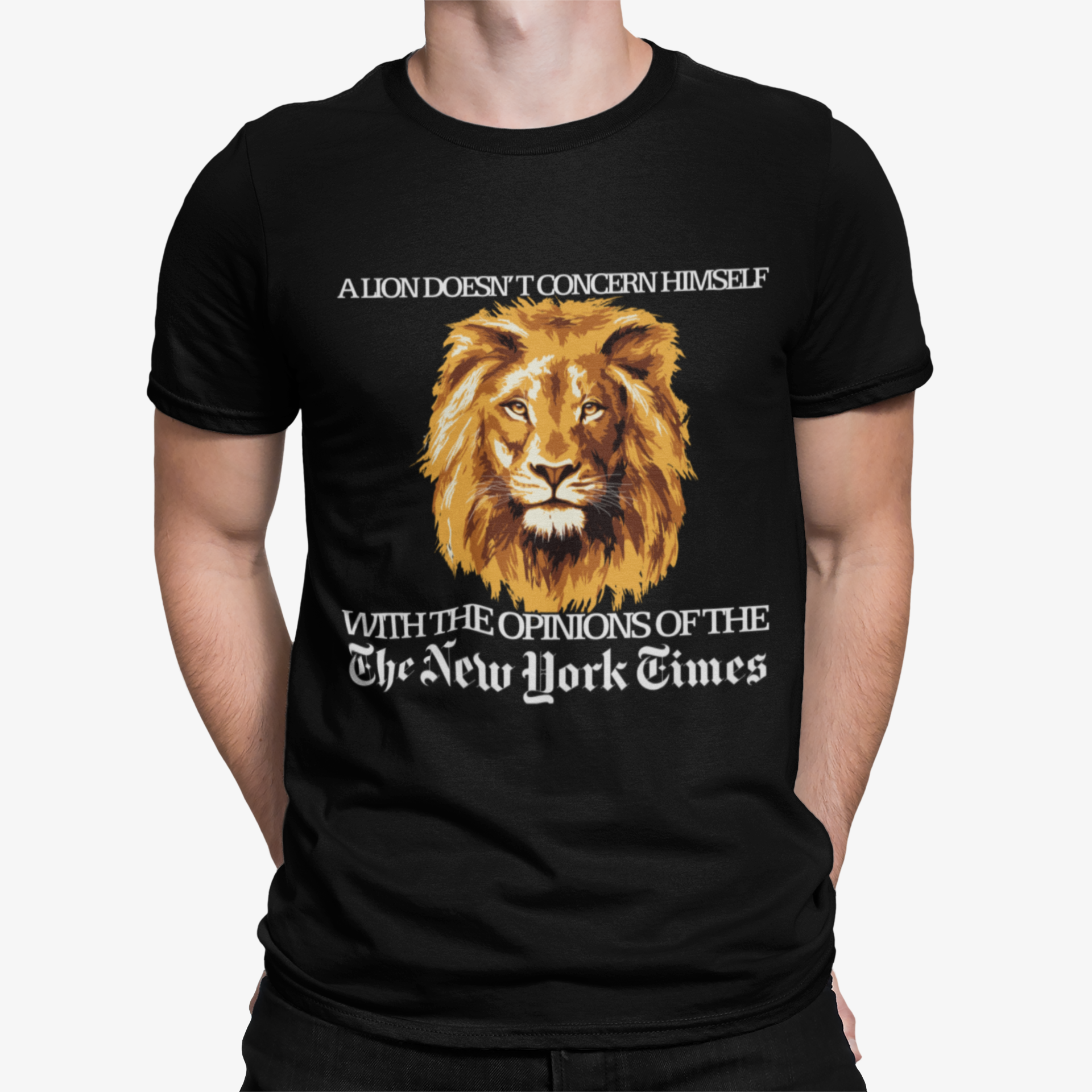 A Lion Doesn't Concern Himself With The Opinions Shirt A Lion Doesn't Concern Himself With The Opinions Shirt
