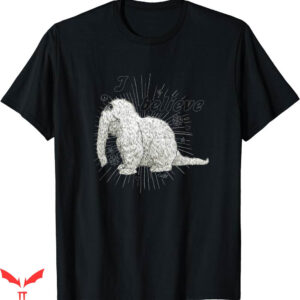 Kaws Sesame Street T-shirt Sesame Street Snuffleupagus I Believe