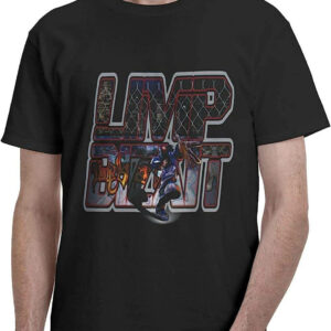 Limp Bizkit T-Shirt Music Theme For Love