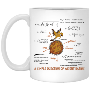 A Simple Question Of Weight Ratios Funny Math Teacher 11 15 oz Mug