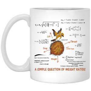 A Simple Question Of Weight Ratios Funny Math Teacher Mug 3 1