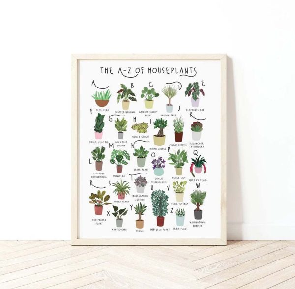 A-Z Of Houseplants, Plant Best Poster