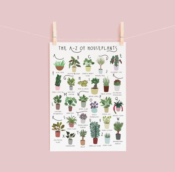A-Z Of Houseplants, Plant Best Poster