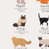 Cats In Film, TV and Books Print, Gifts For Cat Lover Poster