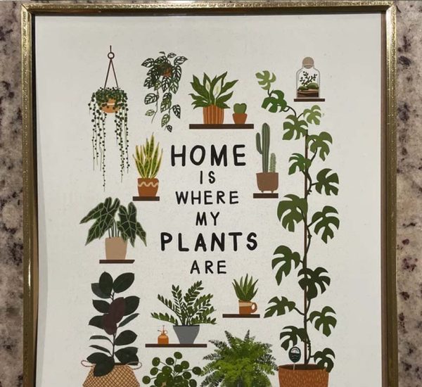 Home Is Where My Plants Are, House Plant Poster