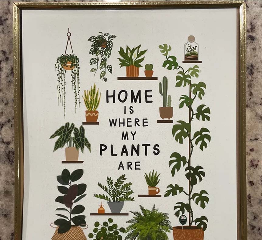 Home Is Where My Plants Are, House Plant Poster Home Is Where My Plants Are, House Plant Poster