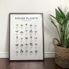House Plants Botanical, Plant Poster