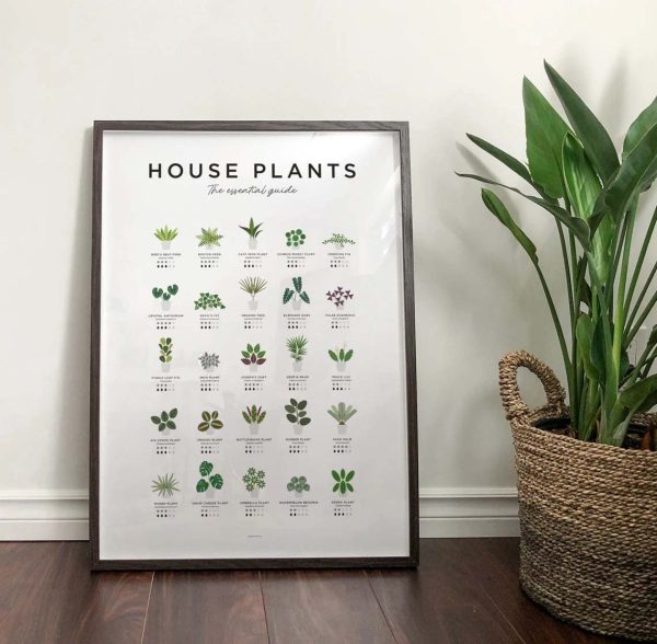 House Plants Botanical, Plant Poster