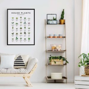 House Plants Botanical Plant Poster 3
