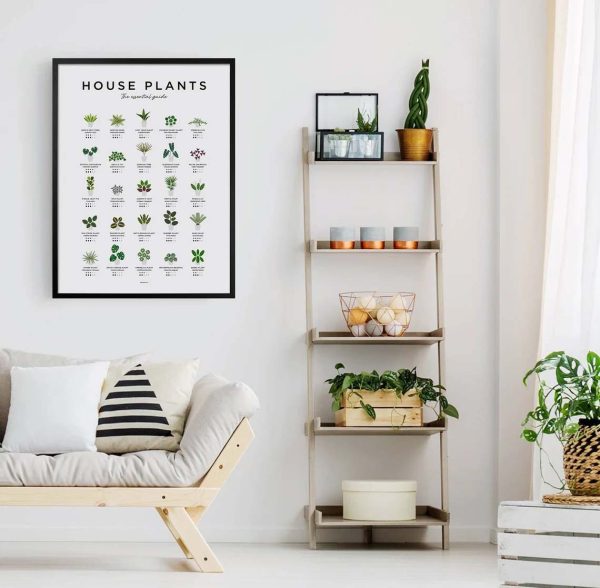 House Plants Botanical, Plant Poster