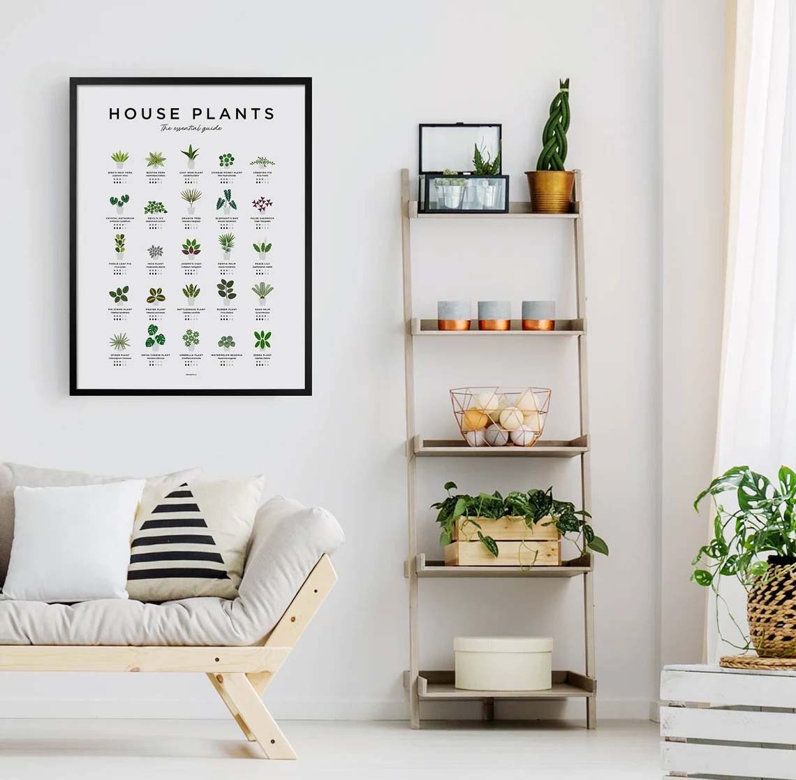 House Plants Botanical, Plant Poster House Plants Botanical, Plant Poster