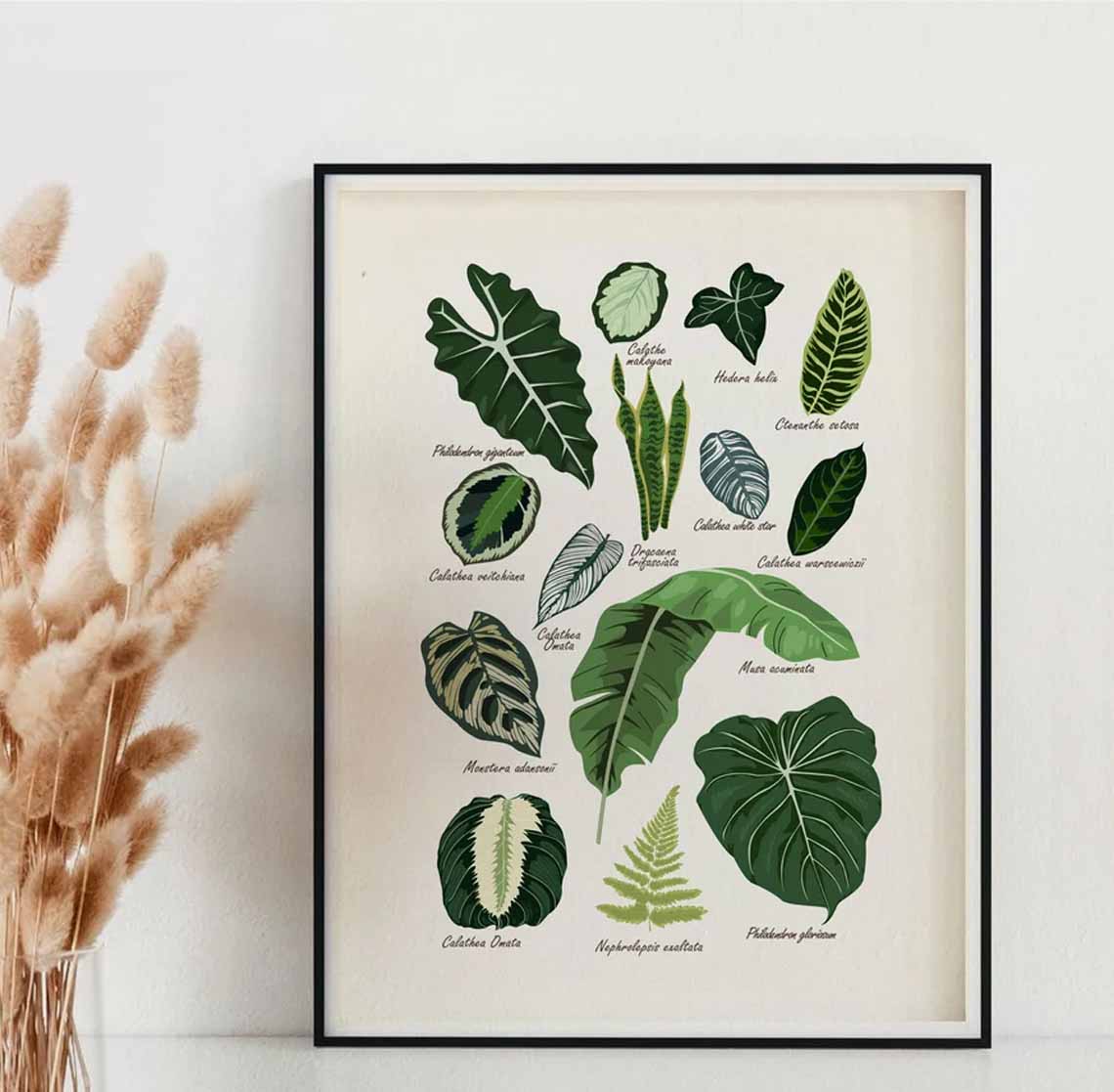 House Plants Botanical, Plant Poster House Plants Botanical, Plant Poster