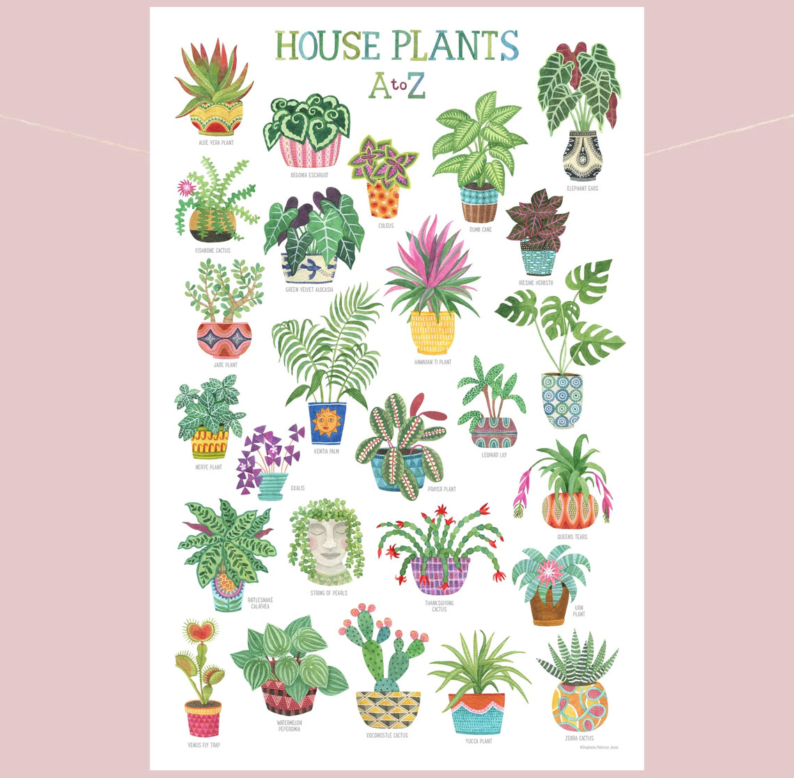 House Plants Botanical Wall Art Print Poster House Plants Botanical Wall Art Print Poster