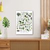 Houseplant Leaves Illustration, Leaf Varieties Poster