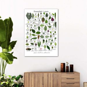 Houseplant Leaves Illustration Leaf Varieties Poster 3