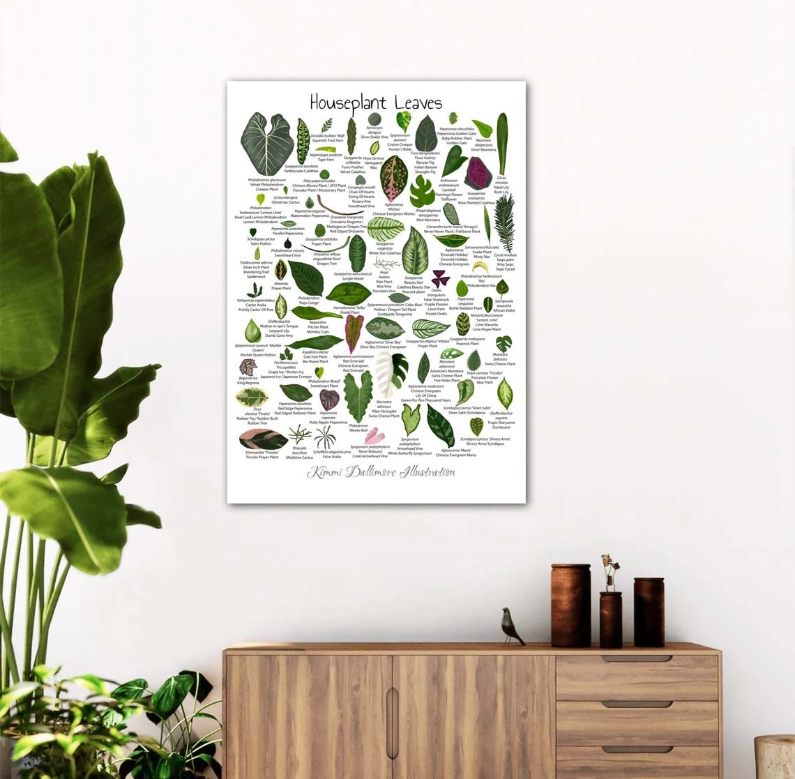 Houseplant Leaves Illustration, Leaf Varieties Poster Houseplant Leaves Illustration, Leaf Varieties Poster