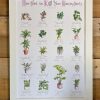 How Not to Kill Your Houseplants Poster