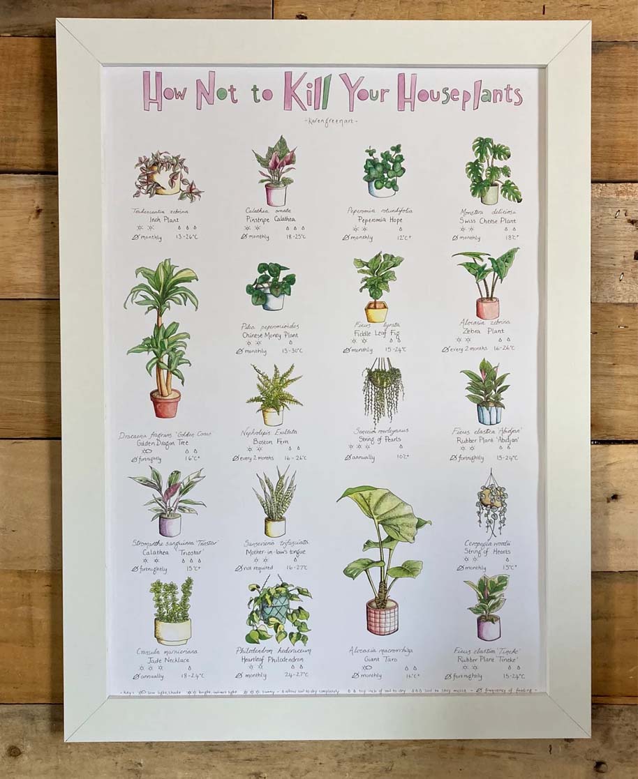 How Not to Kill Your Houseplants Poster How Not to Kill Your Houseplants Poster