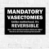 Mandatory Vasectomies PRINTABLE, Women’s March Poster