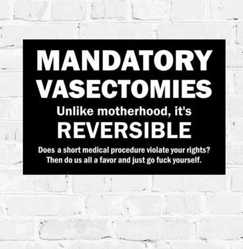 Mandatory Vasectomies PRINTABLE, Women's March Poster Mandatory Vasectomies PRINTABLE, Women's March Poster