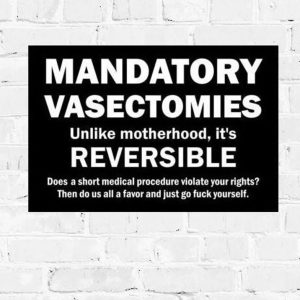 Mandatory Vasectomies PRINTABLE, Women’s March Poster