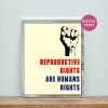 Reproductive Rights Are Human Rights, Pro Choice Best Poster