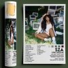 SZA Ctrl Deluxe Album Best Poster
