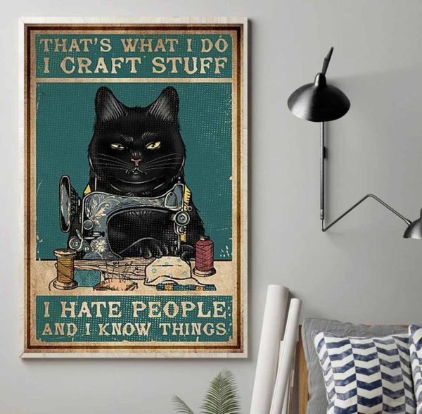 That’s What I Do Craft Stuff I Hate People And I Know Things Poster