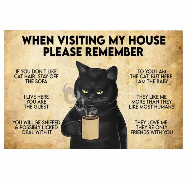 When Visiting My House Please Remember Funny Cat Poster