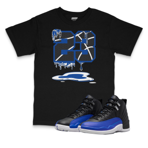Air Jordan 12 Hyper Royal I 23 T-Shirt