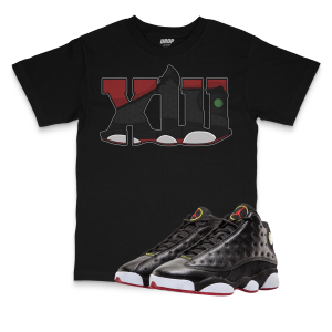 Air Jordan 13 Playoffs l XIII Sneaker Matching T-Shirt