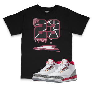 Air Jordan 3 Cardinal I 23 Tee
