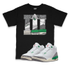 Air Jordan 3 WMNS Lucky Green I III Sneaker Matching T-Shirt