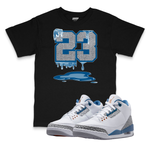 Air Jordan 3 Wizards l 23 Sneaker Matching T-Shirt