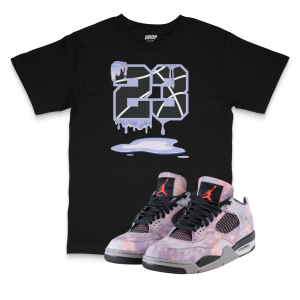 Air Jordan 4 Zen Master I 23 Tee
