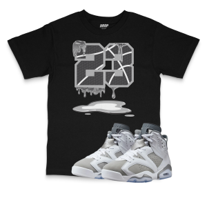 Air Jordan 6 Cool Grey l 23 Sneaker Matching T-Shirt