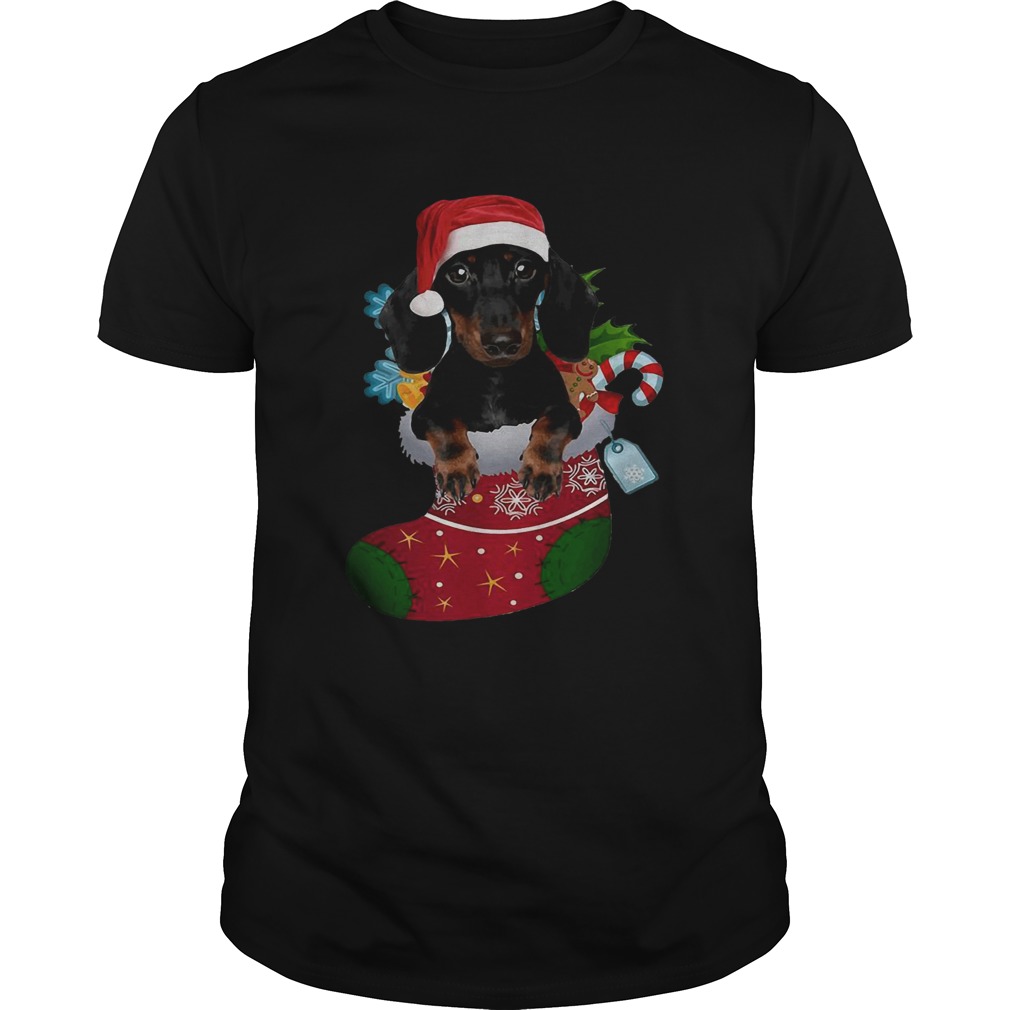 Dachshund in sock Christmas shirt Dachshund in sock Christmas shirt