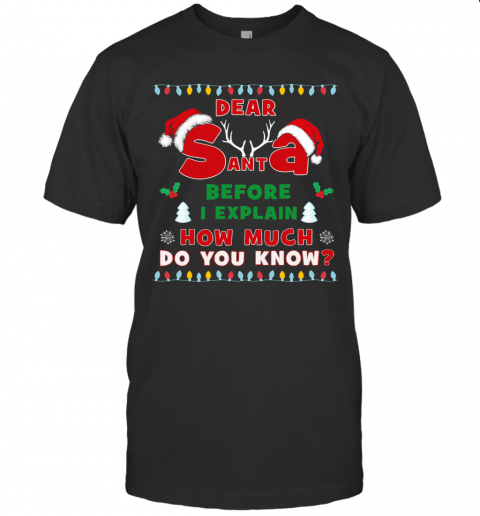 Dear Sant Abefore I Explain How Much Do You Know Christmas T-Shirt Dear Sant Abefore I Explain How Much Do You Know Christmas T-Shirt