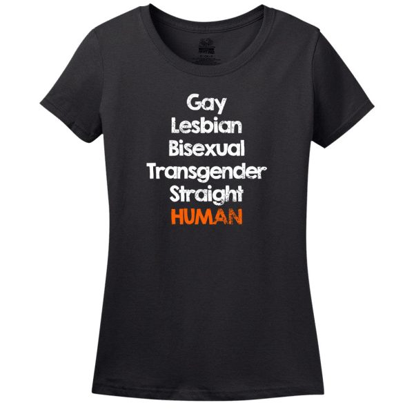 Gay Lesbian Bisexual Transgender Straight T-Shirt
