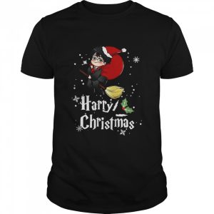 Harry Potter Harry Christmas Merry Christmas shirt