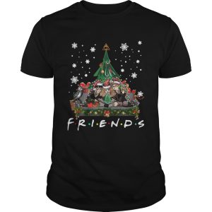 Harry Potter Hermione And Ron Weasley Christmas Tree style Friends tv show shirt