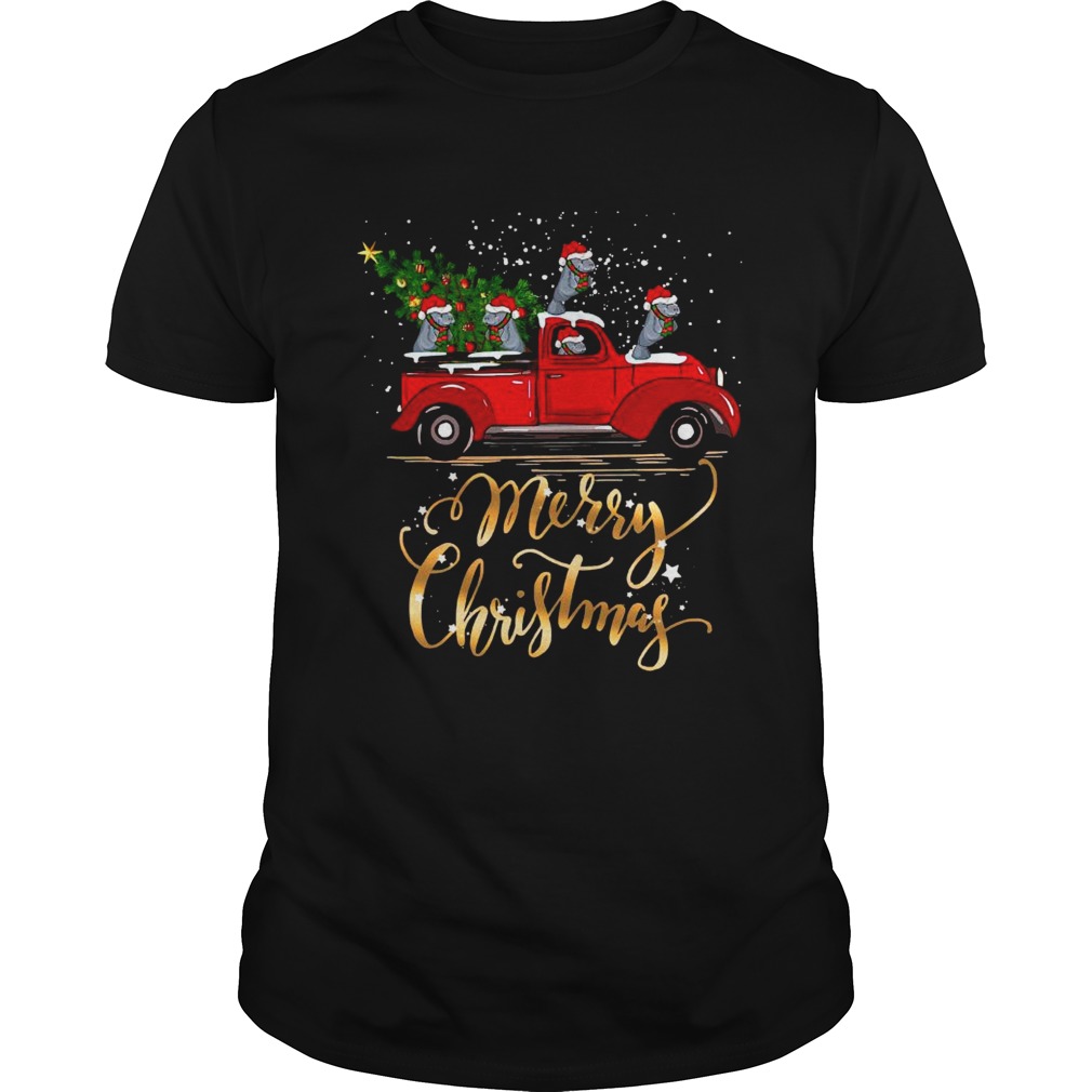 Hippopotamus With Red Truck Tree Merry Christmas shirt Hippopotamus With Red Truck Tree Merry Christmas shirt