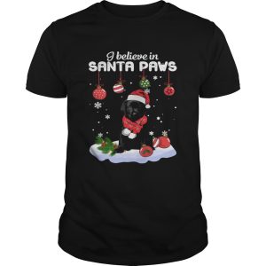 I Believe In Santa Paws Christmas