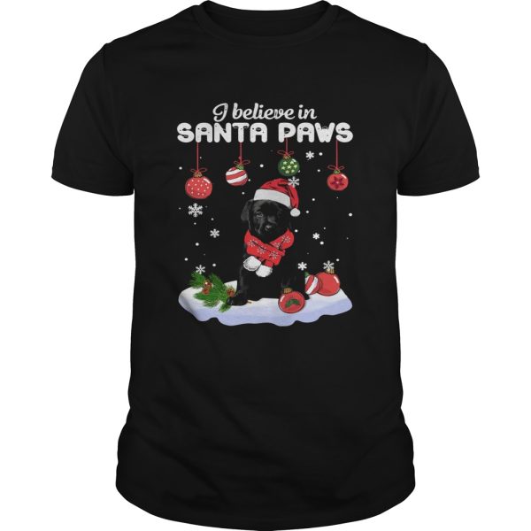 I Believe In Santa Paws Christmas