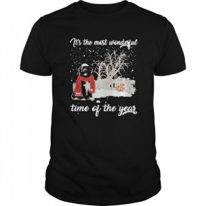 Newfoundland Its The Most Wonderful Time Of The Year shirt