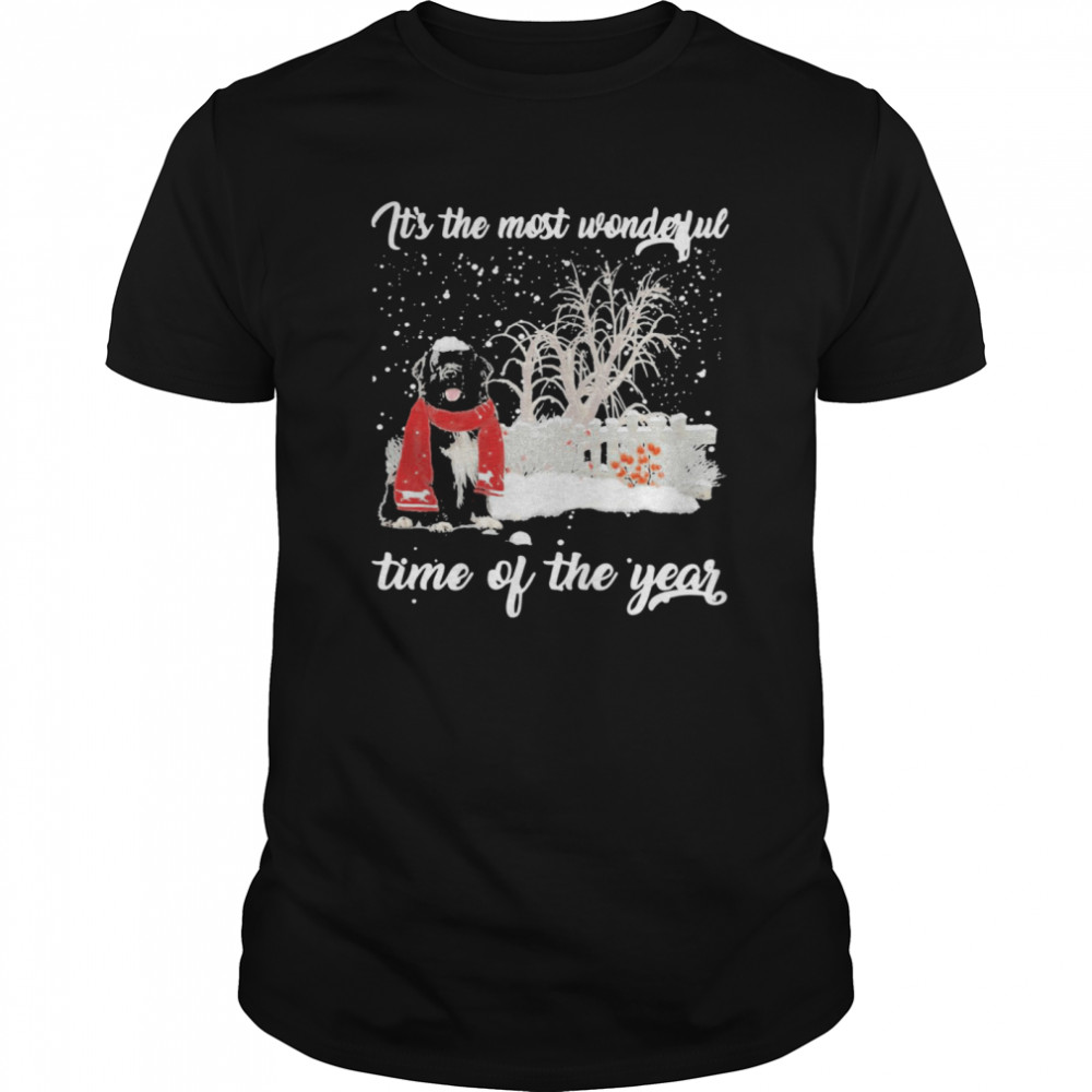 Newfoundland Its The Most Wonderful Time Of The Year shirt Newfoundland Its The Most Wonderful Time Of The Year shirt